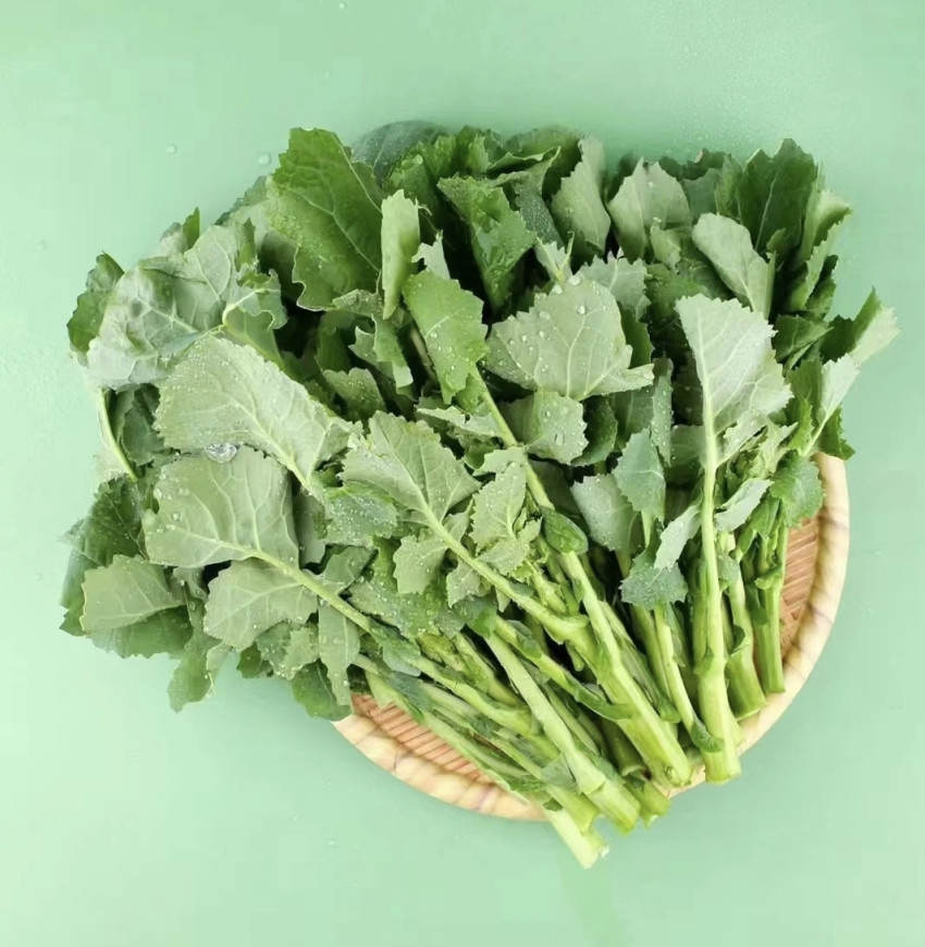 深圳餐饮vi设计,深圳logo设计,深圳餐饮空间设计,板蓝根青菜水饺,深圳餐饮策划设计 深圳餐饮vi设计,深圳logo设计,深圳餐饮空间设计,板蓝根青菜水饺,深圳餐饮策划设计